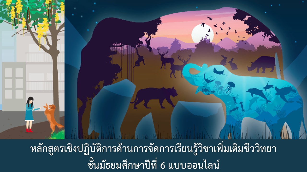 หลักสูตรเชิงปฏิบัติการด้านการจัดการเรียนรู้วิชาเพิ่มเติมชีววิทยา ชั้นมัธยมศึกษาปีที่ 6 แบบออนไลน์ Bio003